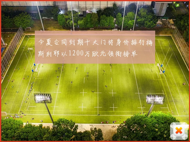 今夏合同到期十大门将身价排行梅斯利耶以1200万欧元领衔榜单